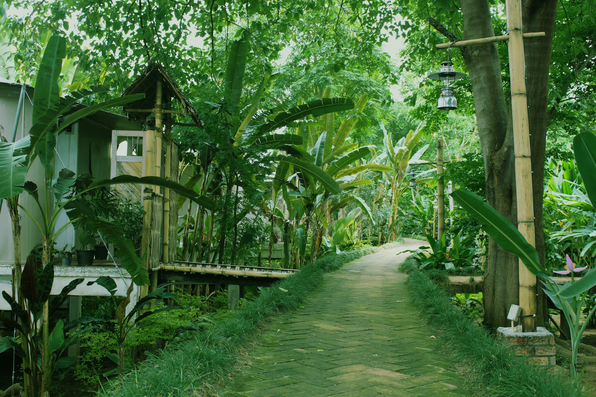 Pai Vimaan Resort Mae Hong Son Exteriér fotografie